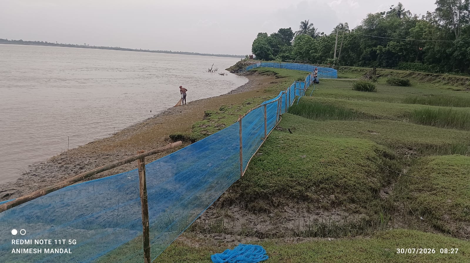 Live 4 Help Foundation Marks Aranya Saptaha with Mangrove Restoration in the Sundarbans detail 3