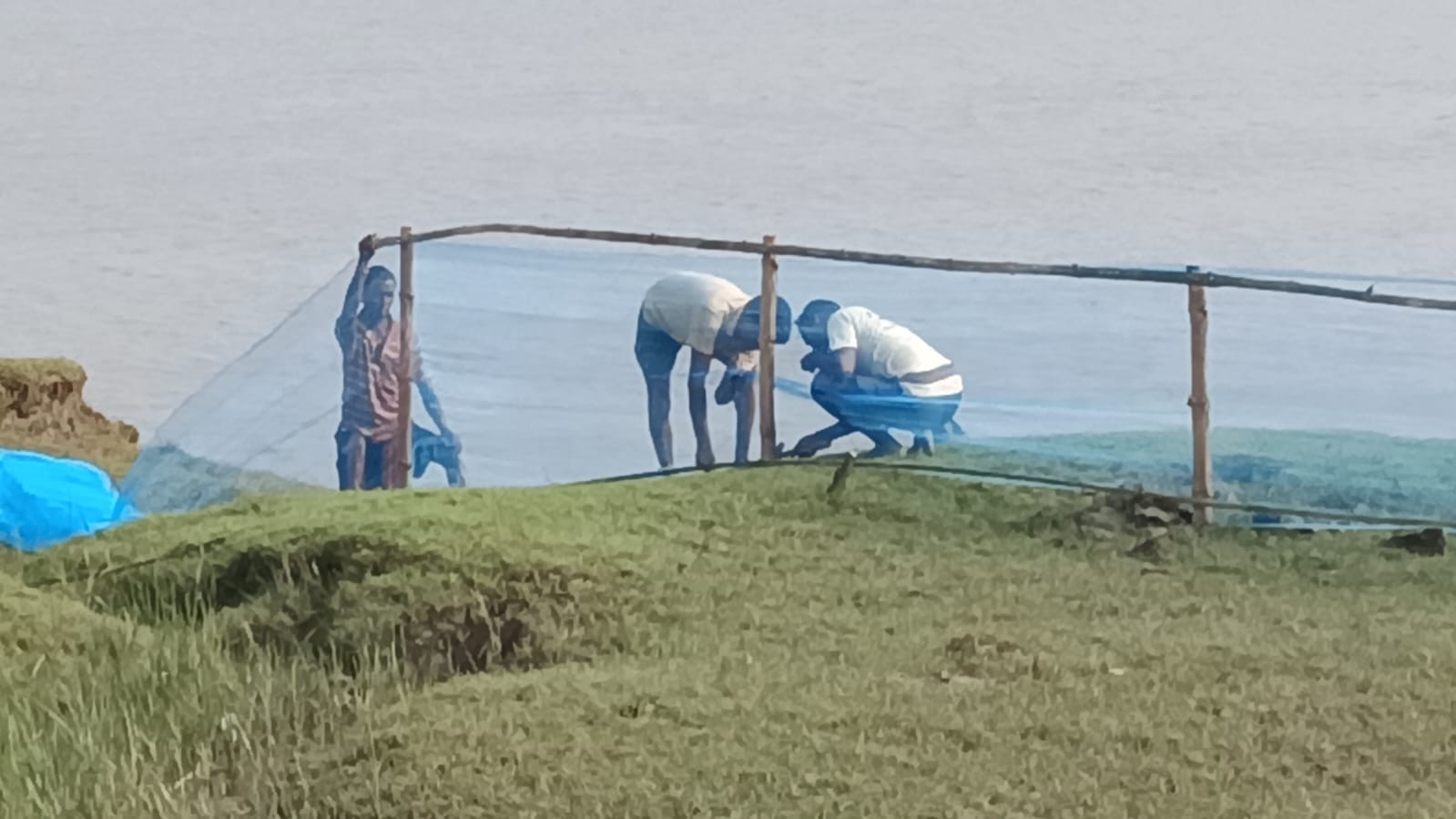 Live 4 Help Foundation Marks Aranya Saptaha with Mangrove Restoration in the Sundarbans detail 8