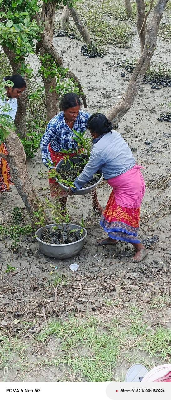 Live 4 Help Foundation Marks Aranya Saptaha with Mangrove Restoration in the Sundarbans detail 9