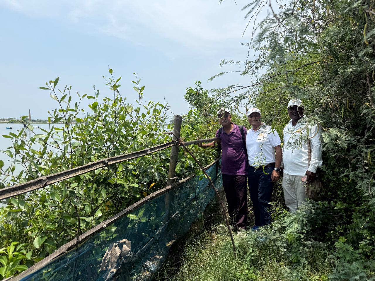 Restoring Coastal Resilience Through CSR: Mangrove Plantation Initiative in Sundarban, West Bengal detail 6