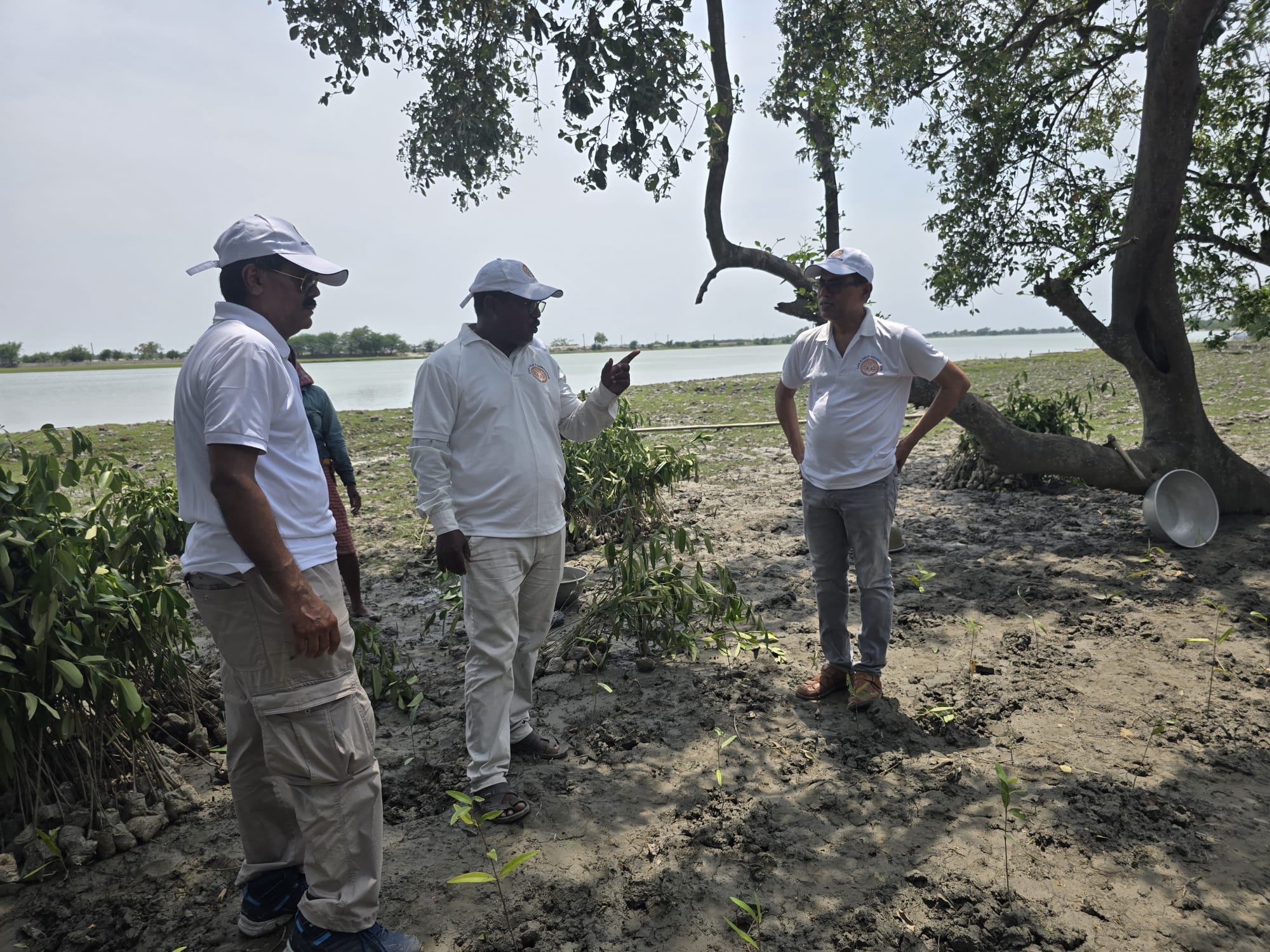 Restoring Coastal Resilience Through CSR: Mangrove Plantation Initiative in Sundarban, West Bengal detail 7